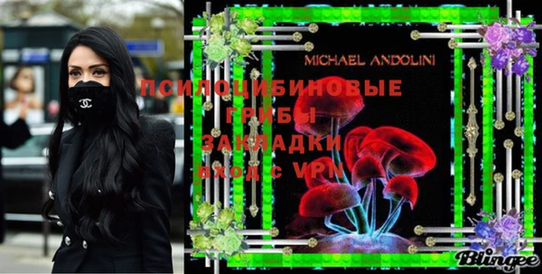не бодяженный Алексин