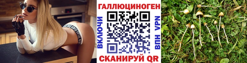 Псилоцибиновые грибы GOLDEN TEACHER  цена наркотик  Пермь 