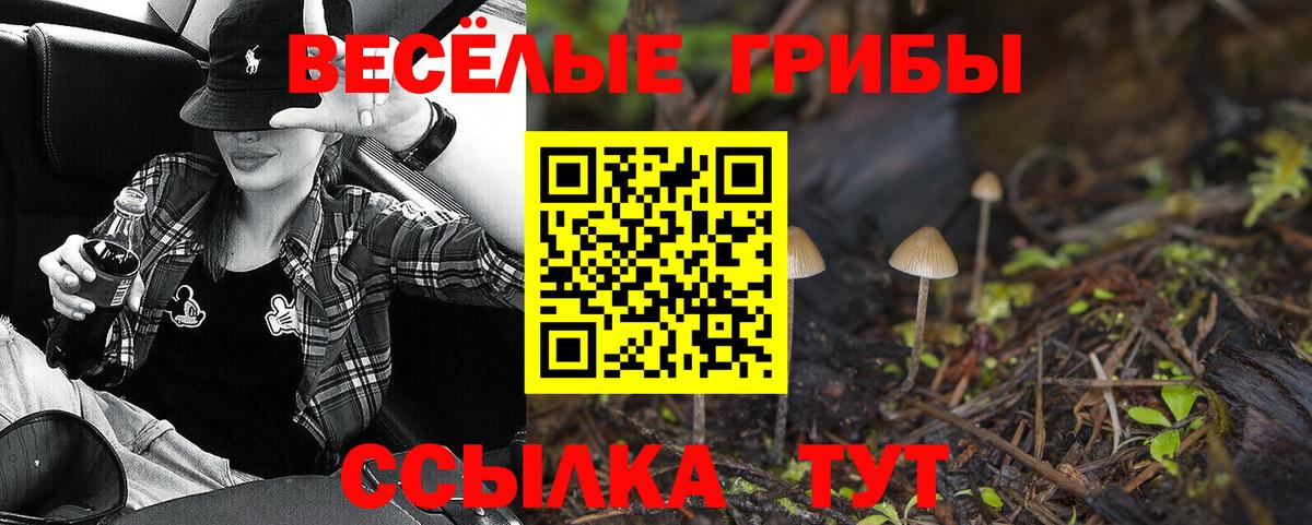 Галлюциногенные грибы мицелий Пермь